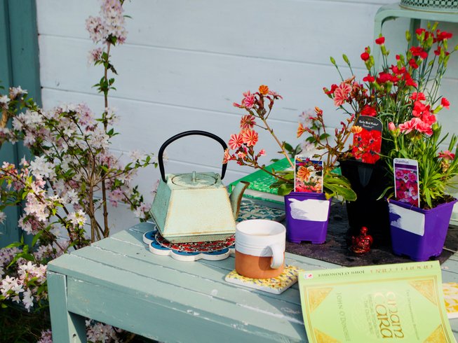 flowers and teapots in Galway